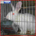 metal wire rabbit cage price
